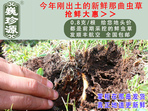 rx(chng)Ĳ շb 0.8/r(ji)80Ԫ/