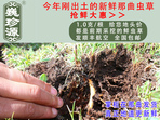 rx(chng)Ĳ շb 1/r(ji)100Ԫ/