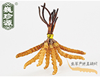 x(chng)Ĳ2.2l/ ڲ x؛r(ji)286Ԫ/