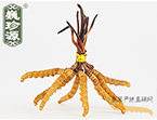 x(chng)Ĳ2.5l/ ڲ x؛r(ji)252Ԫ/